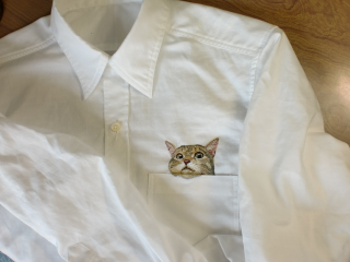 Illustration for article titled Internet Cats Make Boring Dress Shirts Better